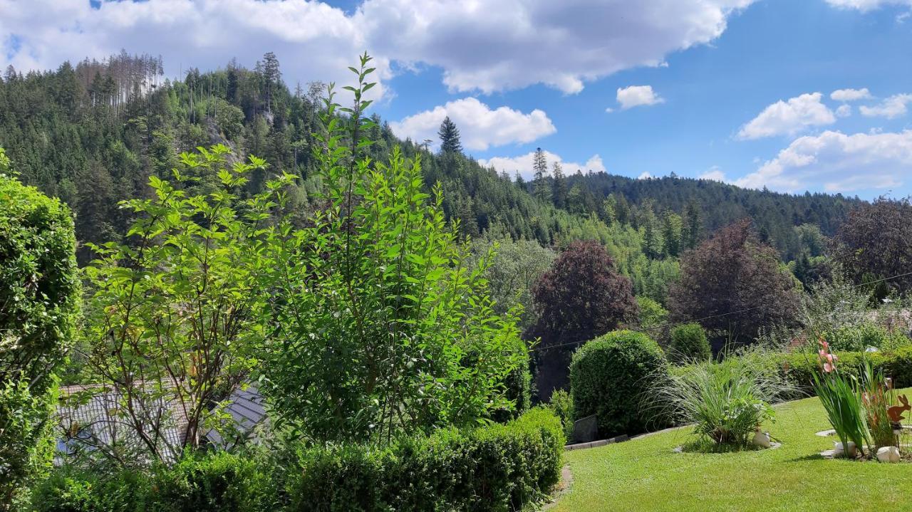 Landhaus Schwaben Schonmunzach Εξωτερικό φωτογραφία